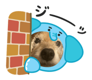 841466553