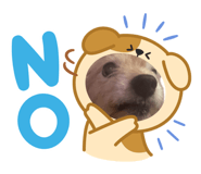 841466555
