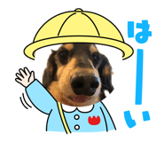 841466558