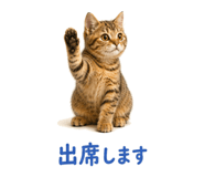 841466564