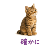 841466567