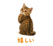 841466568