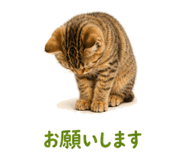 841466570