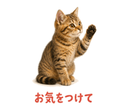 841466577