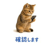 841466581