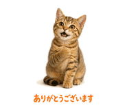 841466585