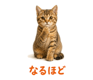 841466587