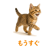 841466597
