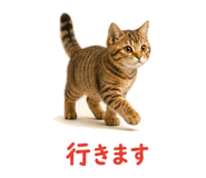 841466600