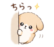 841466697