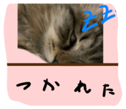 841466720