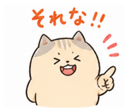 841466803