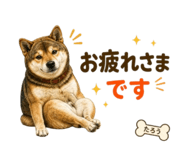 841467405
