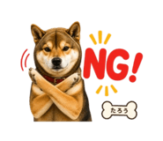 841467411