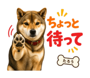 841467412