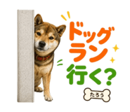 841467415