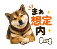 841467421