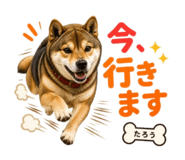 841467422
