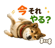 841467423