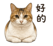 841471732