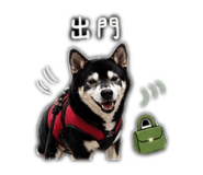 841472745