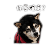 841472747