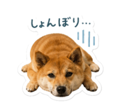 841473247
