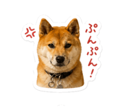 841473249