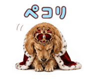 841474094
