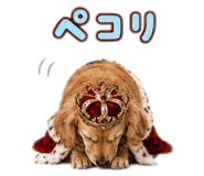 841474095