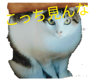 841474140