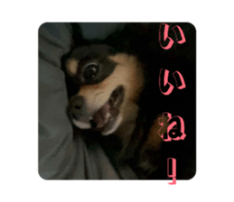 841474816