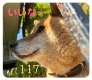 841475336