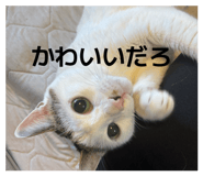 841475467