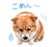 841475703