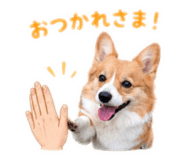 841475704