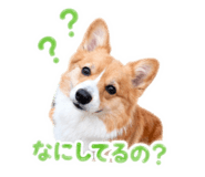 841475705