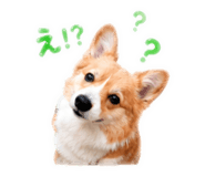 841475706