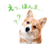 841475727
