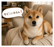 841475763