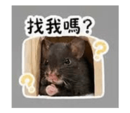 841482605