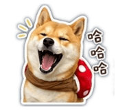 841483253