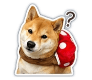 841483254