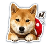 841483256
