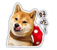 841483258