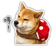 841483259