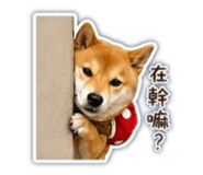 841483275