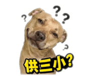 841483426