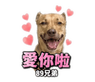 841483427