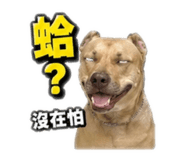 841483431